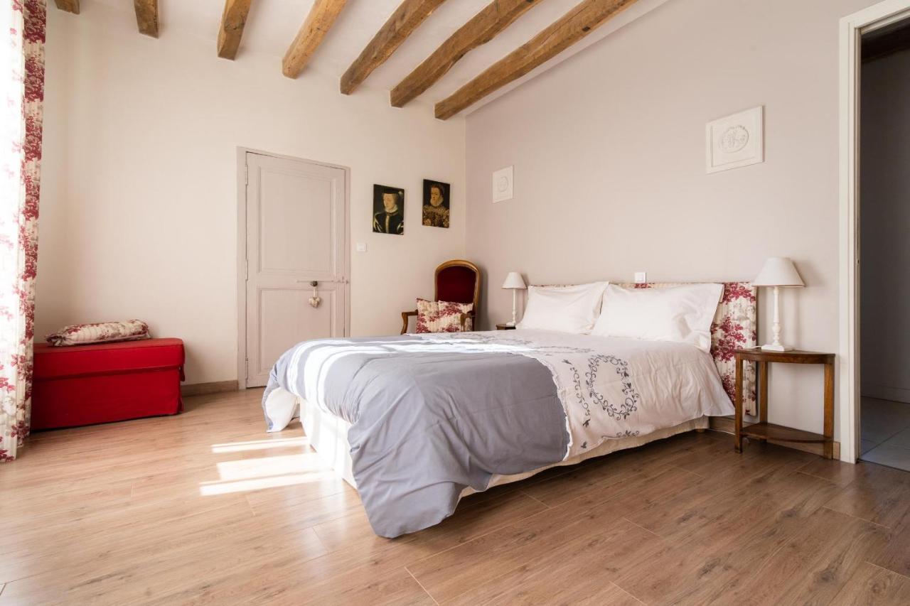 Le Clos De La Rousseliere Francueil ภายนอก รูปภาพ